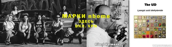 амф Майский