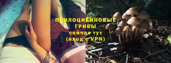 ГАЛЛЮЦИНОГЕННЫЕ ГРИБЫ Семикаракорск