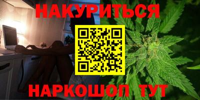 mdpv Новодвинск