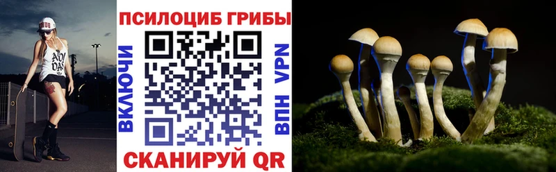 мега как зайти  Снежинск  Псилоцибиновые грибы мицелий 