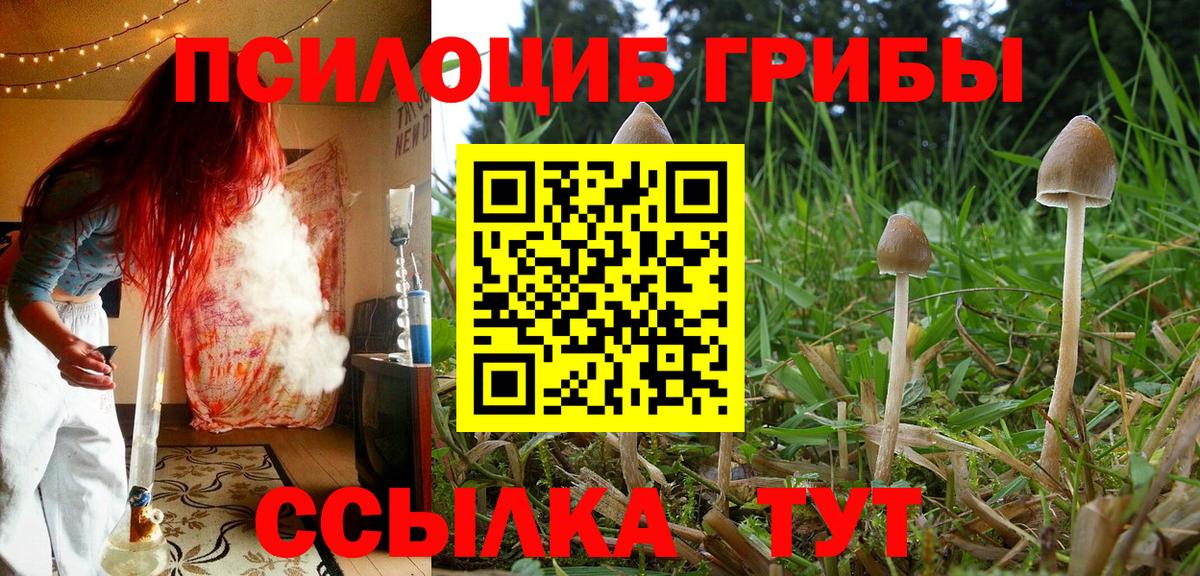Галлюциногенные грибы ЛСД  купить закладку  Снежинск  Галлюциногенные грибы Cubensis  Вход с VPN 