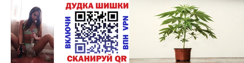 Канабис ГИДРОПОН  даркнет сайт  Снежинск 